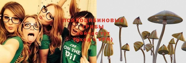 тгк Аркадак