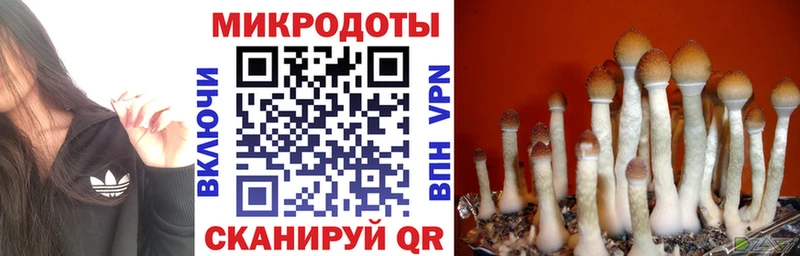 Псилоцибиновые грибы Cubensis  Советский 